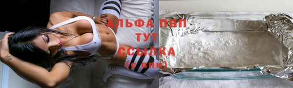 дживик Зерноград