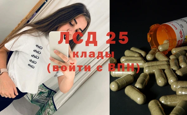 дживик Зерноград