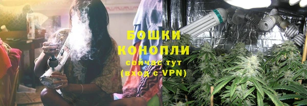 дживик Зерноград