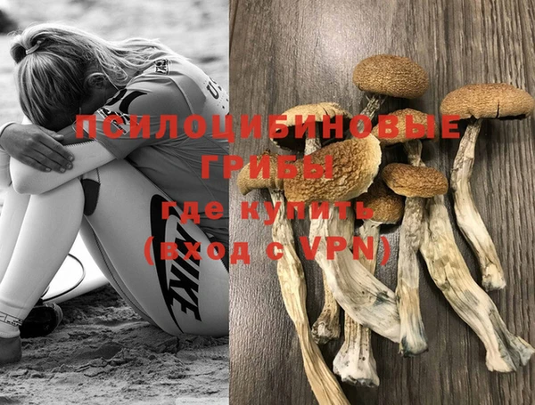 трава Зеленодольск