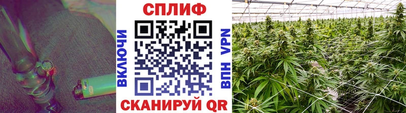 kraken ТОР  где купить наркотик  Нефтекамск  Марихуана план 